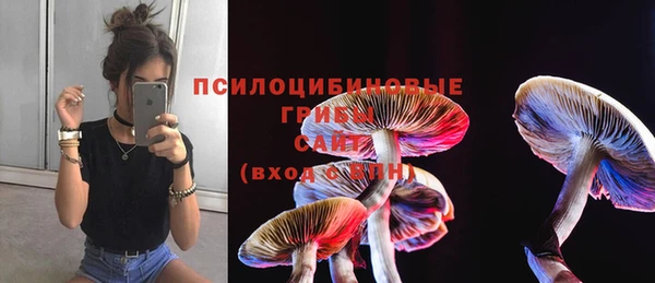 прущие крисы Аркадак
