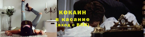 прущие крисы Аркадак