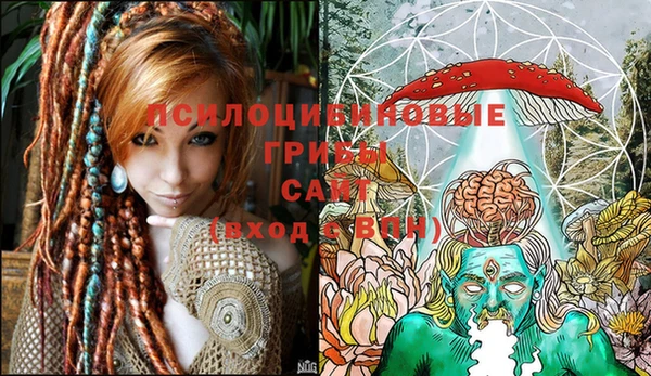 бошки Баксан