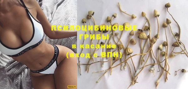 альфа пвп Армянск
