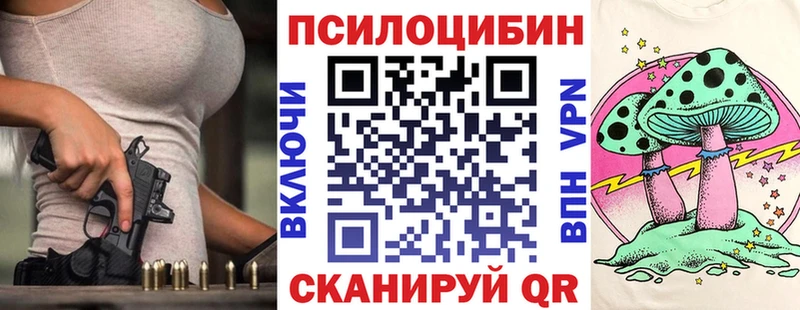 цена наркотик  Новоузенск  kraken вход  Псилоцибиновые грибы Magic Shrooms 