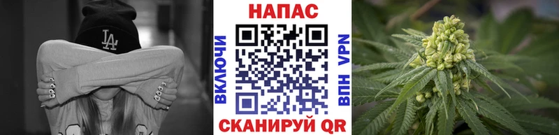 МАРИХУАНА тримм  даркнет наркотические препараты  Новоузенск 